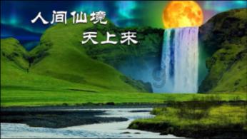 我修的可能是假仙