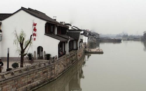 这只蜘蛛不简单，光看这个大洞都知道有多厉害了！